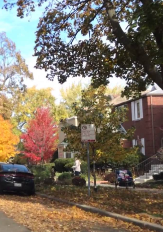 autumn-in-chicago